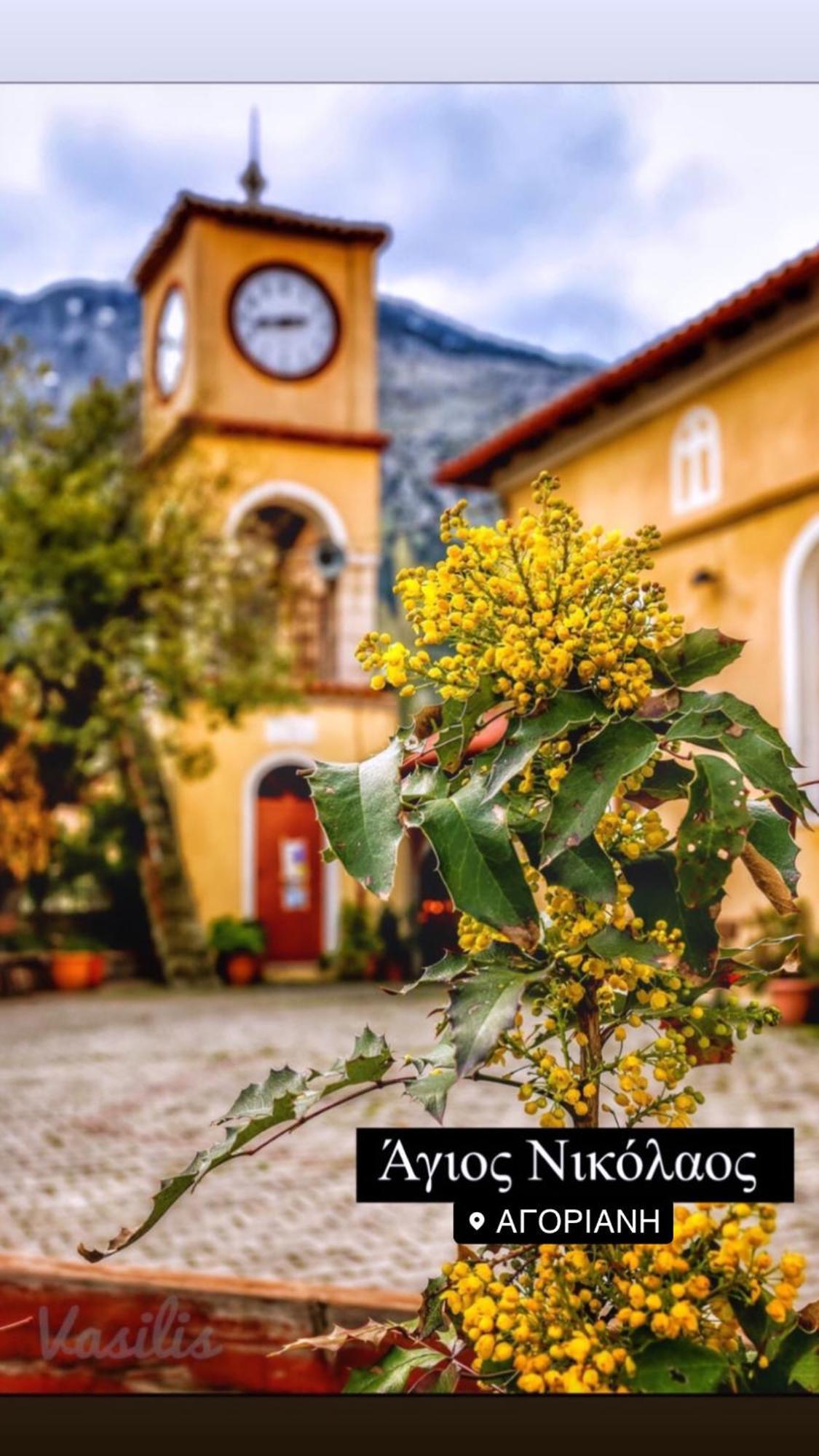 Asimina Guesthouse, Eptalofos Parnassos Esterno foto