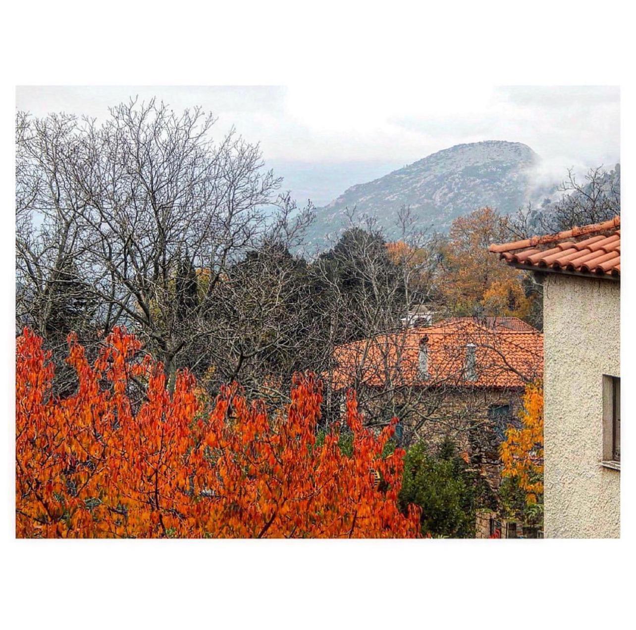 Asimina Guesthouse, Eptalofos Parnassos Esterno foto