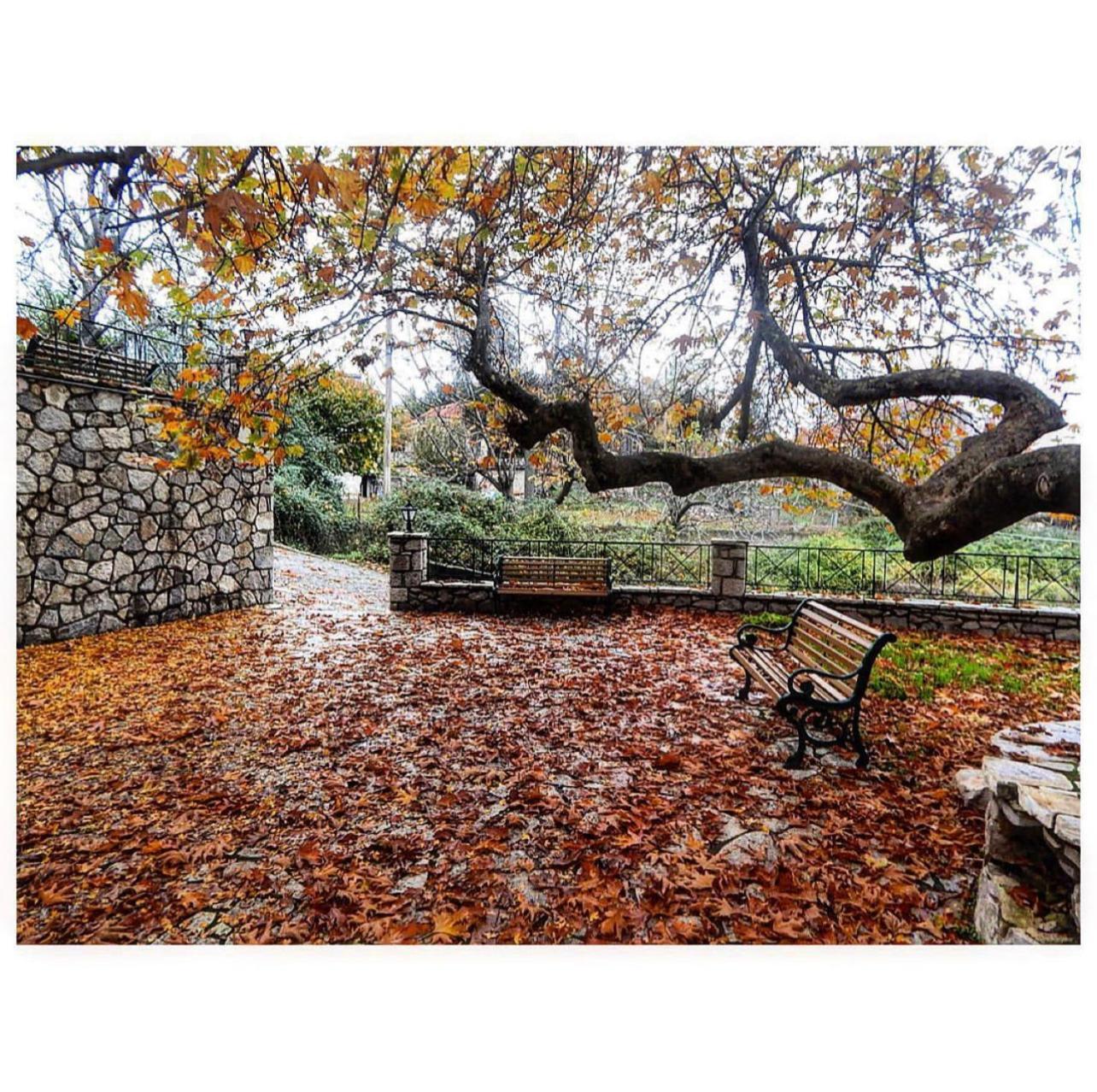 Asimina Guesthouse, Eptalofos Parnassos Esterno foto