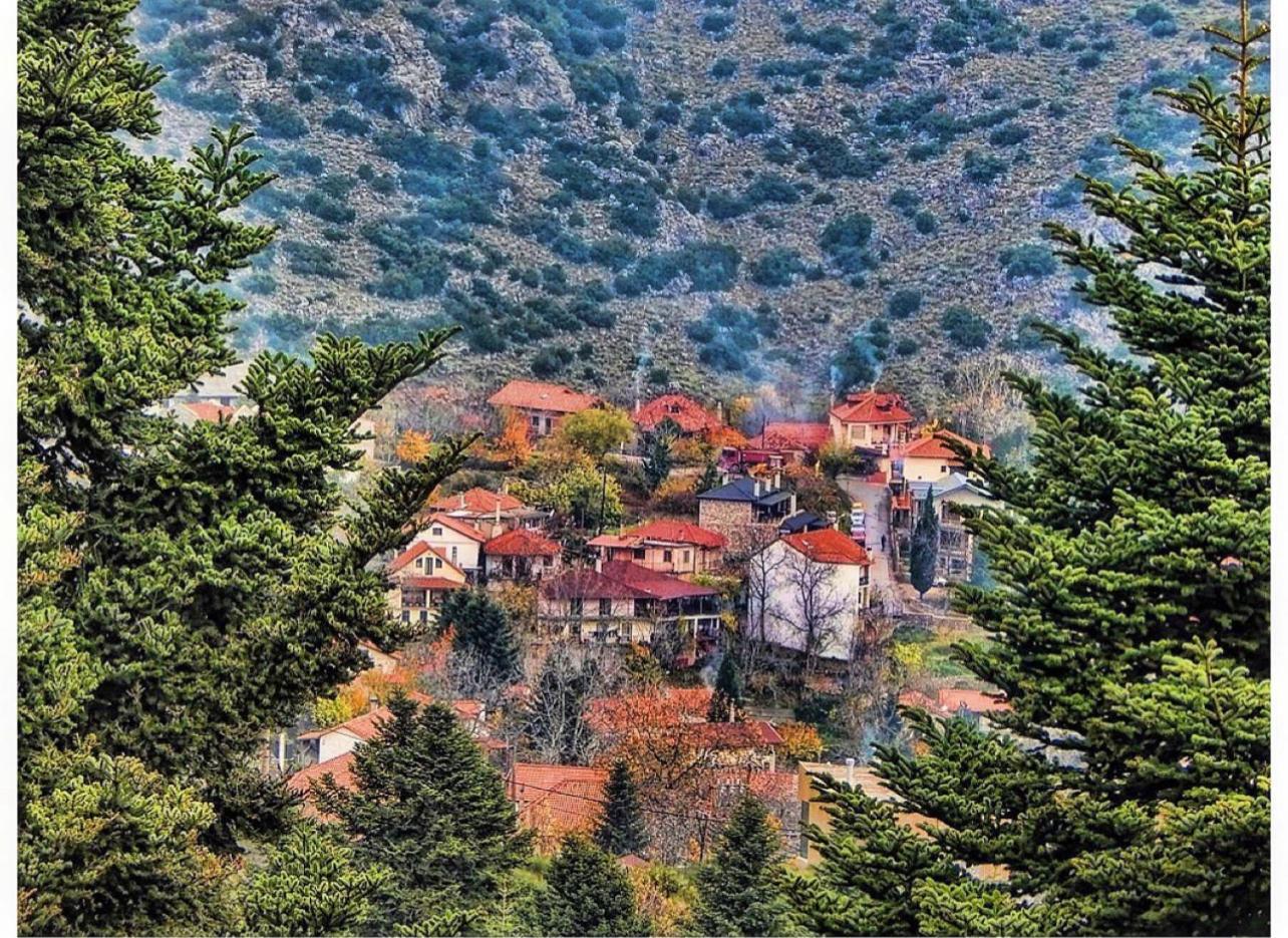 Asimina Guesthouse, Eptalofos Parnassos Esterno foto