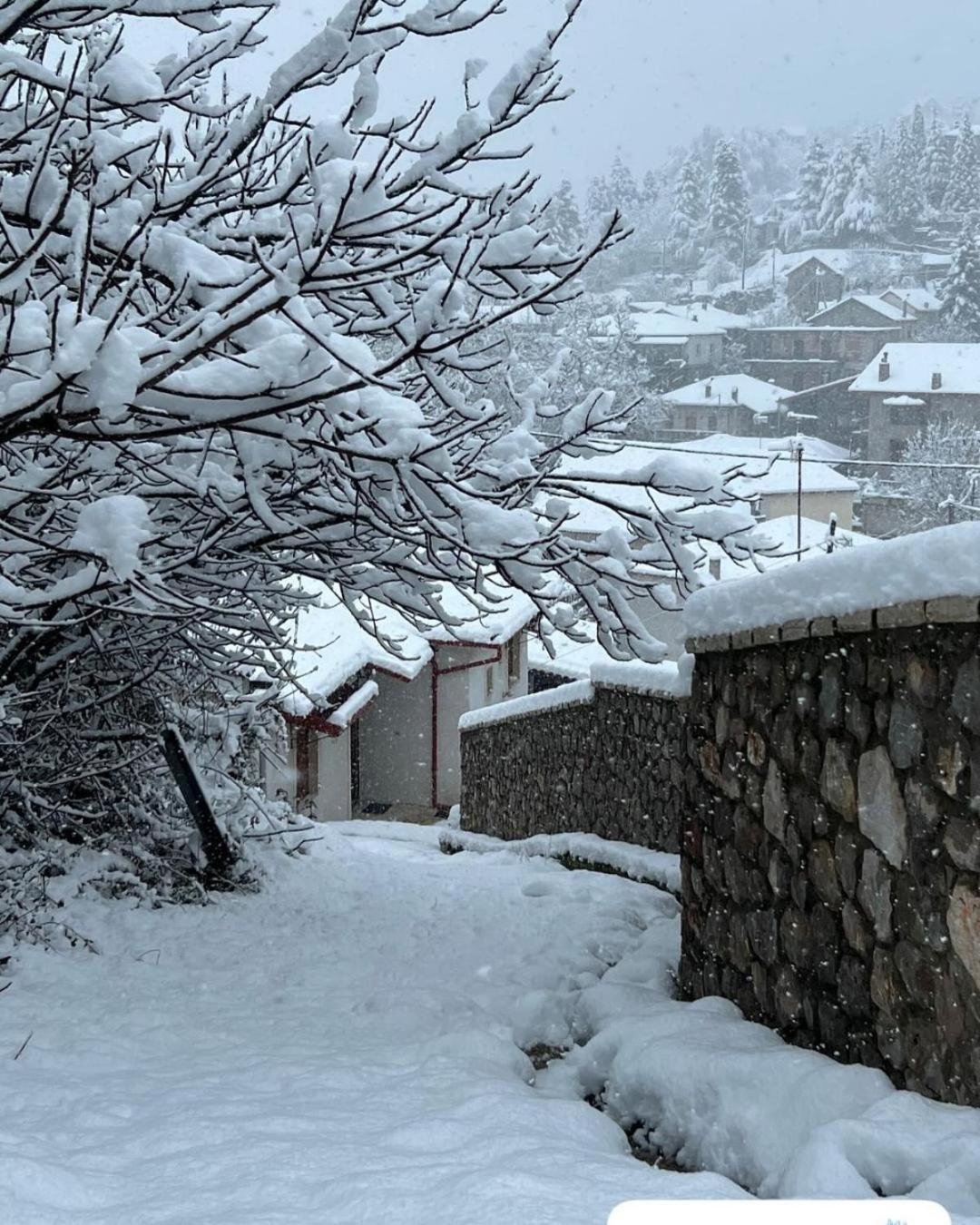 Asimina Guesthouse, Eptalofos Parnassos Esterno foto